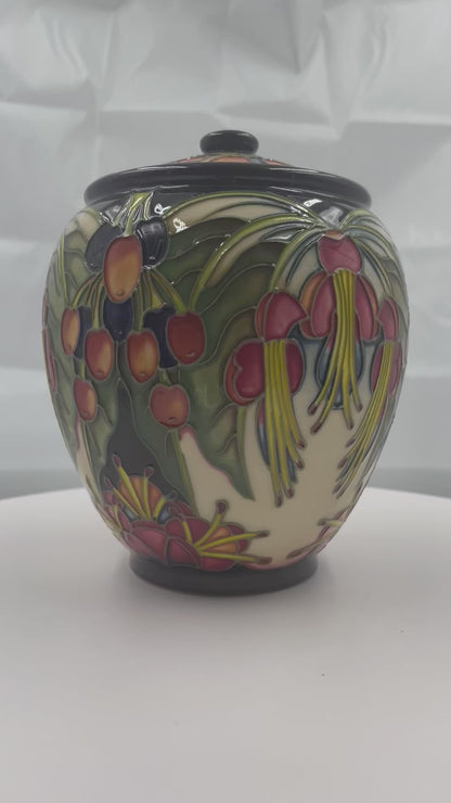 MOORCROFT Art Pottery PURIRI Tree pattern by Philip Gibson designer-lidded pot. Dated 2004. BOXED.